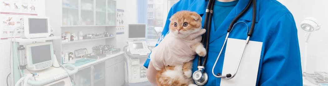 獣医学部コースのイメージ