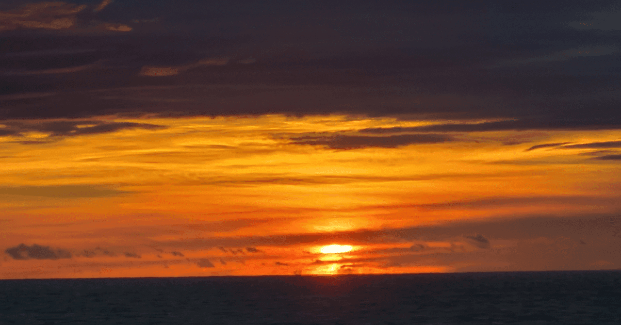 【受験生必見】岩手大学・獣医学科の特色を徹底解説!農工大連携のすべて