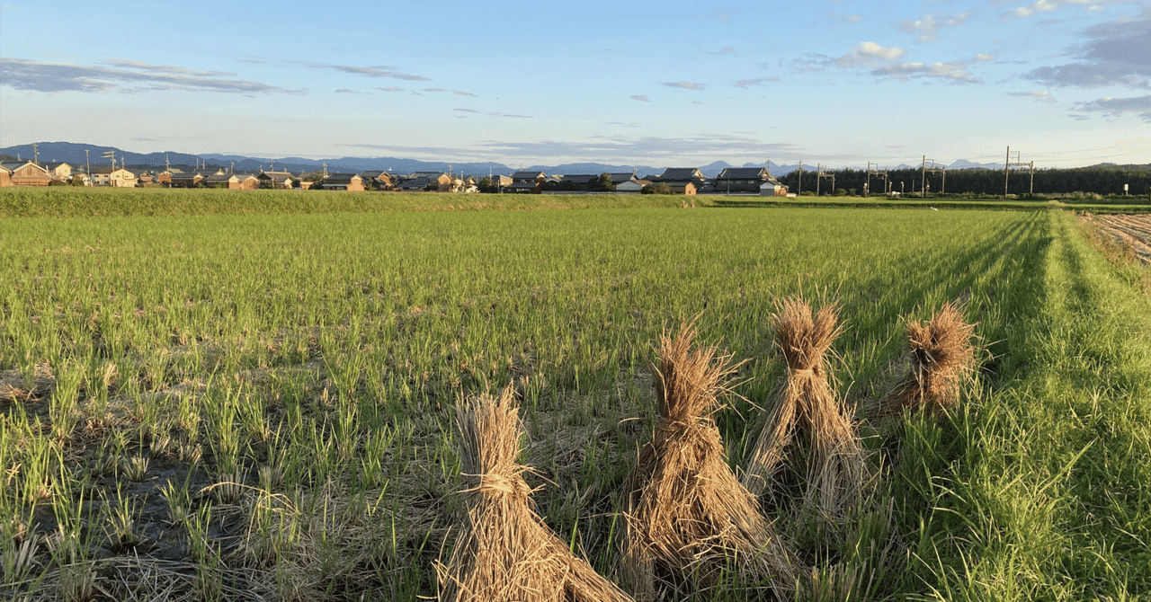【シリーズ第10弾】獣医学部 小論文・面接対策:獣医師の地域偏在と確保の問題