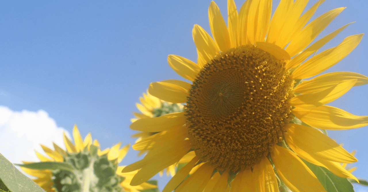 【新中1保護者様へ】初めての定期試験、お疲れ様でした。でも、その成績表…本当に大丈夫ですか?