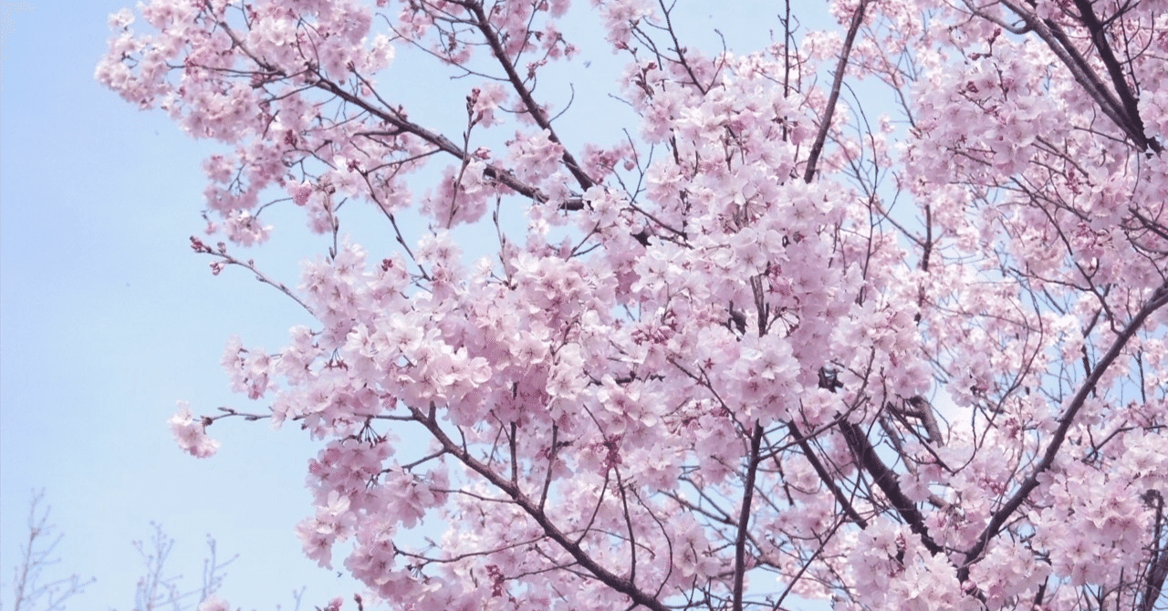 【医学部面接・小論文対策】頻出テーマ解説2 地域医療と医師の偏在