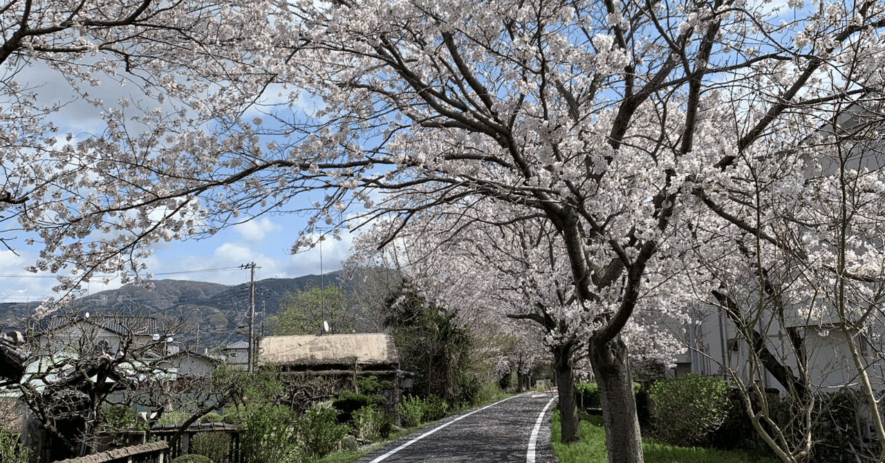 【新シリーズ第4弾】医学部 小論文・面接対策:小児医療・周産期医療の課題と倫理