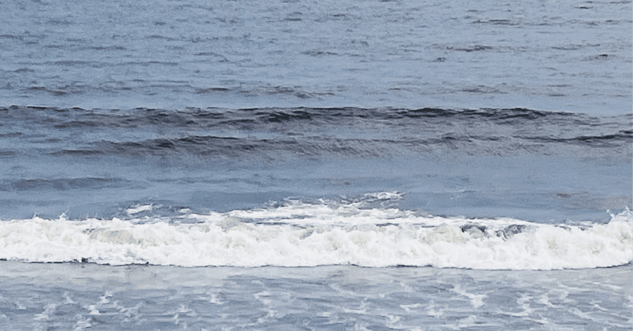 【獣医学部受験】小論文・面接対策シリーズ 全12回 完全ガイド