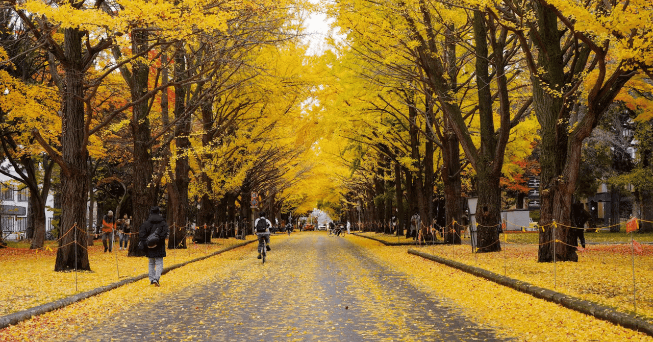 【北大獣医学部生が語る】札幌でのリアルな学生生活!勉強・バイト・冬の暮らし