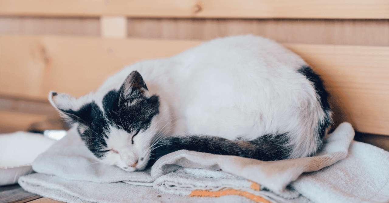 麻布大学学校推薦型選抜 小論文対策② 2022を題材に