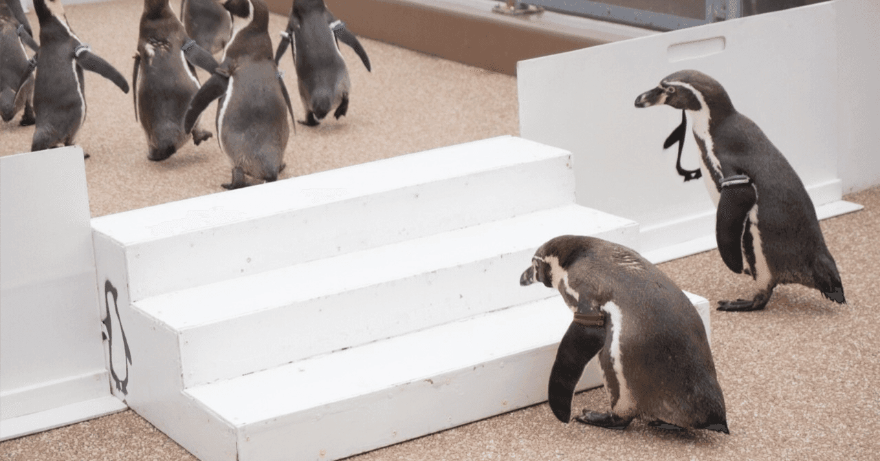 【麻布大学 獣医学部】推薦入試を完全攻略!