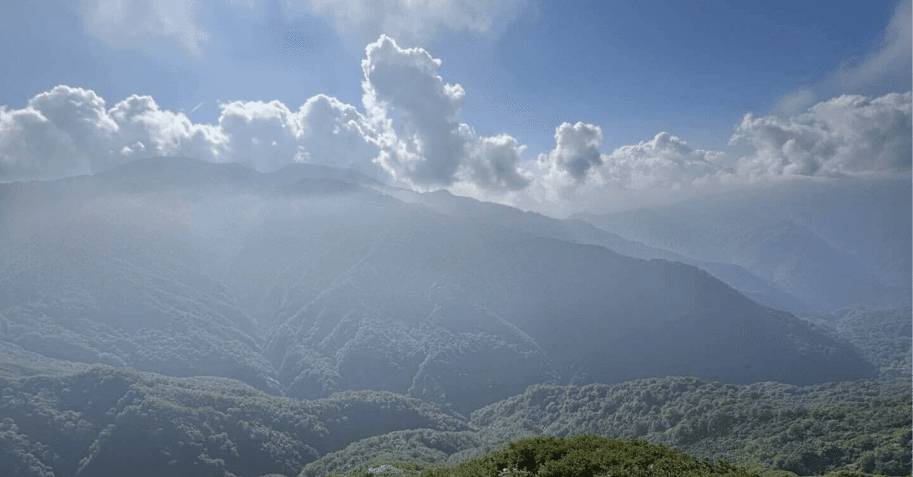 【辛口レビュー】数学参考書マニアが徹底解説!この『技』シリーズは本当に"使える"名著か?