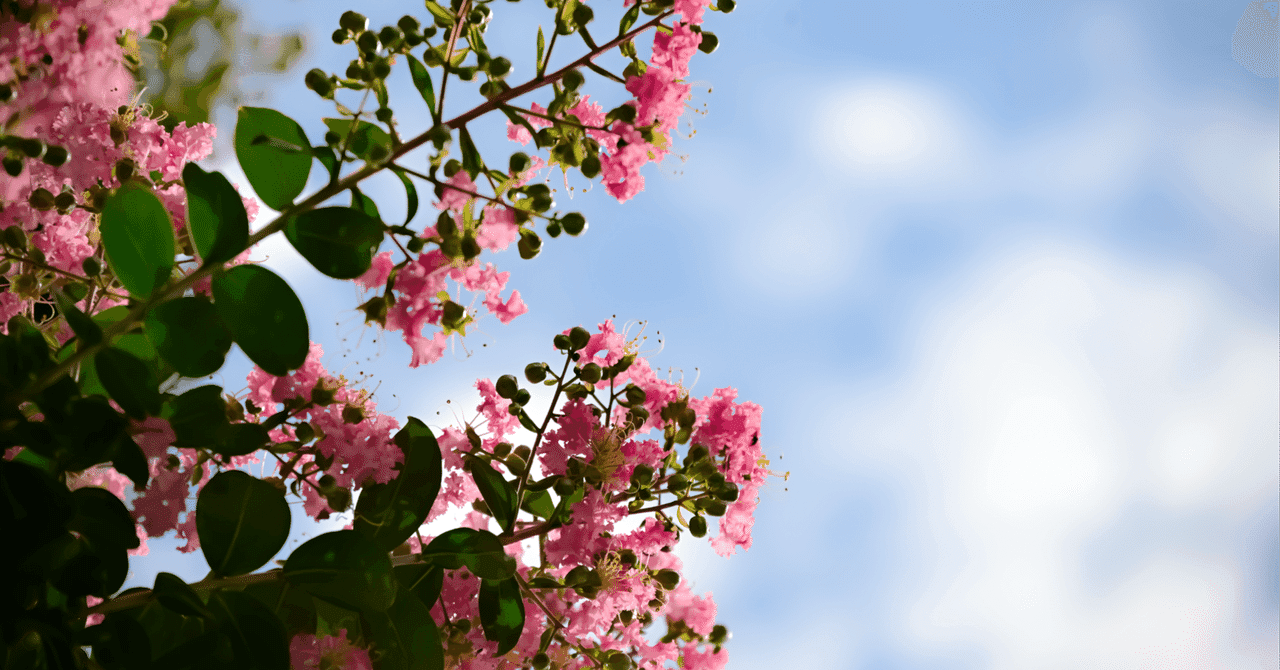 【藤田医科MMI対策講座 第4回】友人の財布にあった謎の錠剤…あなたならどうする?~倫理観と誠実さ~