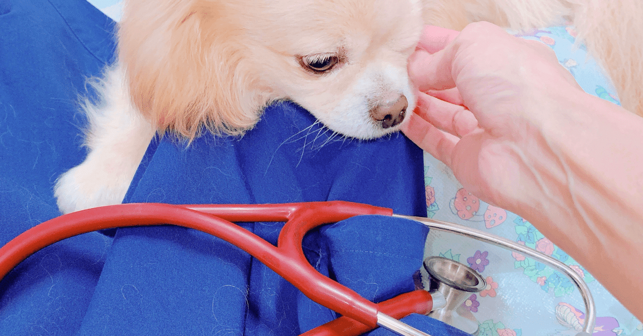 獣医学部 難易度ランキング【私立大学】