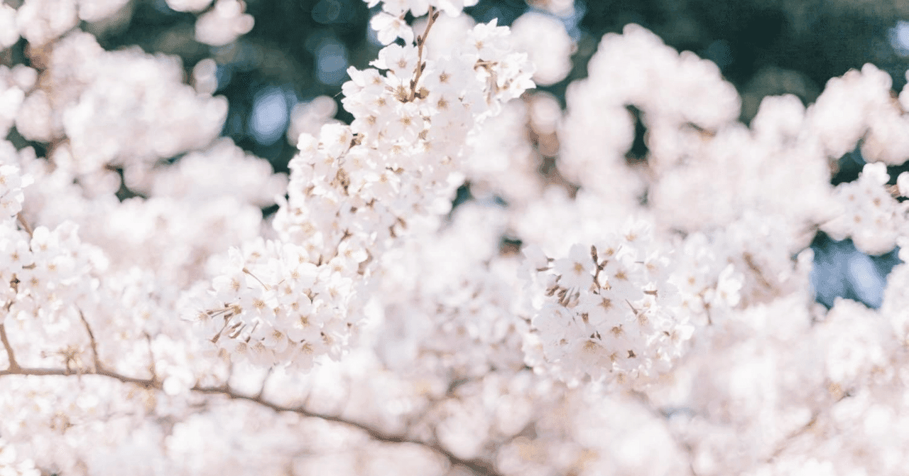 【ゴウカライズVET 合格体験記】1浪で私大全勝