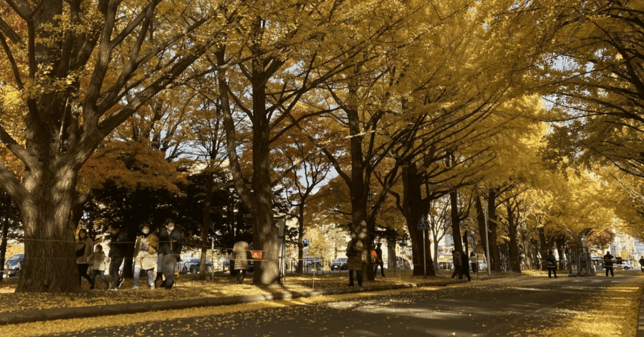 【北大獣医】 獣医は動物のお医者さんだけ?北大獣医学部卒業生の無限のキャリアパス