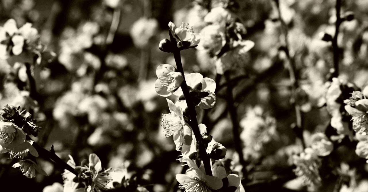 【シリーズ第5弾】獣医学部 小論文・面接対策:食の安全と産業動物獣医師の責務