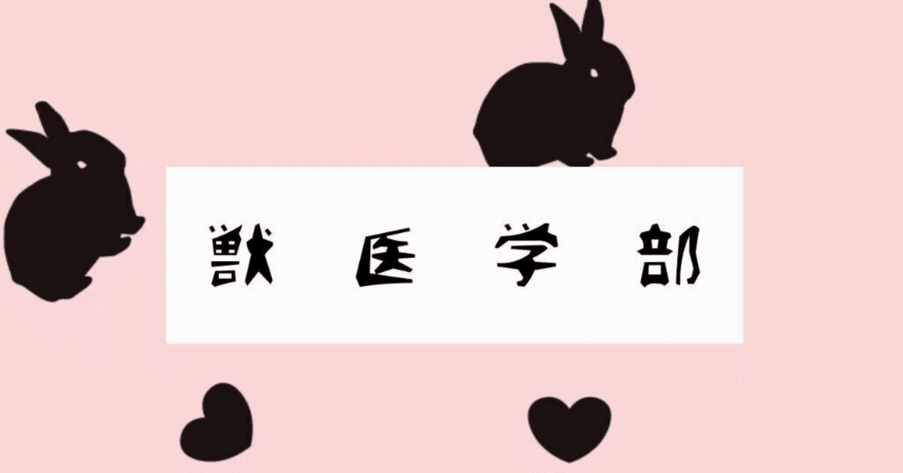 【日大 獣医学科】総合大学で獣医を学ぶことの、本当の意味と無限の可能性