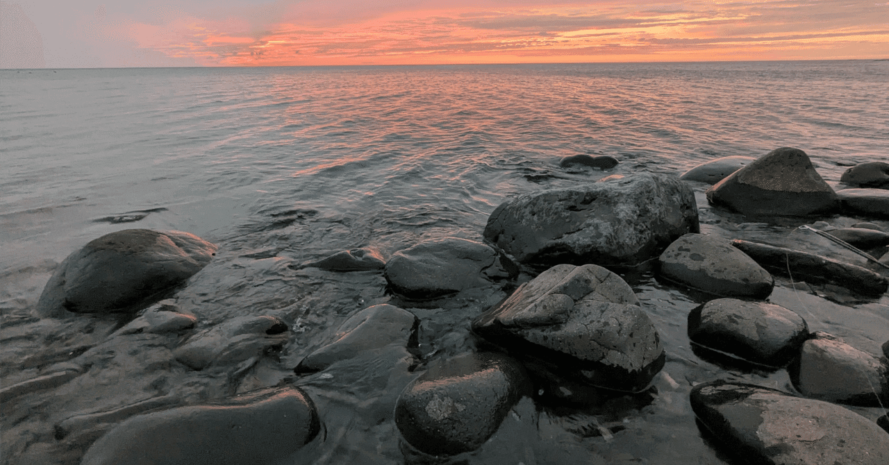 【シリーズ最終回】獣医学部 小論文・面接対策:獣医療の未来と生涯学習