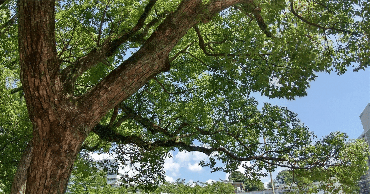 【医学部MMI対策講座 最終回】あなたにとって「理想の医師像」とは?~自己分析と将来のビジョン~