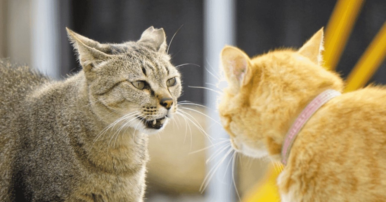 【岐阜大学・獣医】日本有数の「動物行動クリニック」で学ぶ、次世代の臨床獣医学