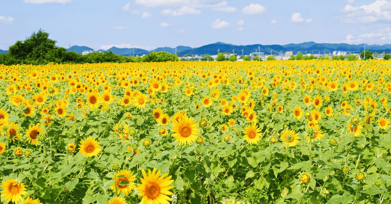 【実践編】日大獣医学科 推薦入試対策 - 国語予想問題に挑戦!