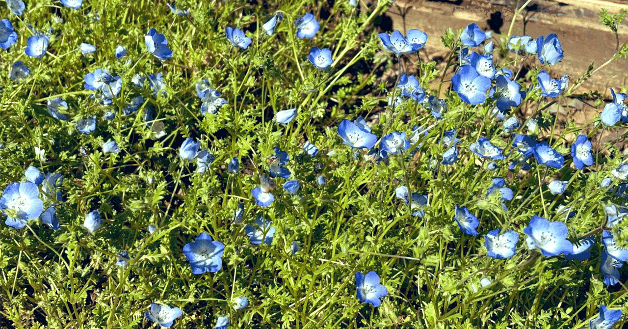 【医学部MMI対策講座 第2回】「指導医の指示が間違っているかも…」あなたならどうする?~チーム医療における対立解決~