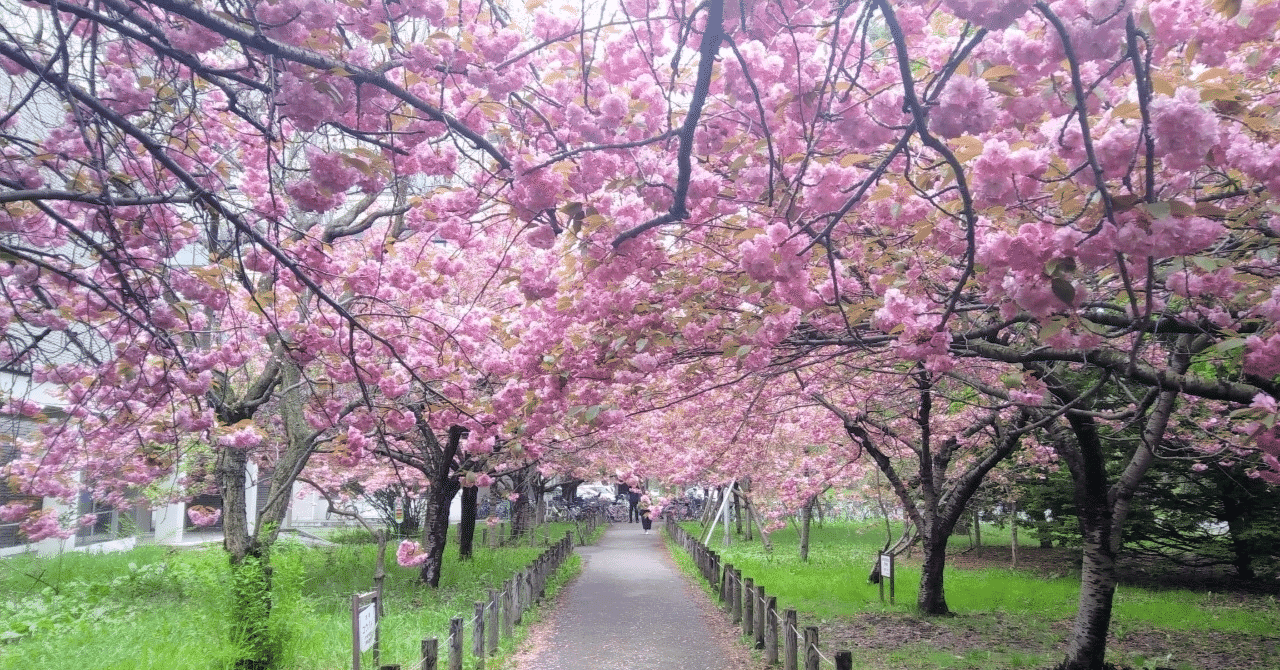 【2026年度版】私立医学部入試日程と出願戦略|乗り遅れないための完全ガイド